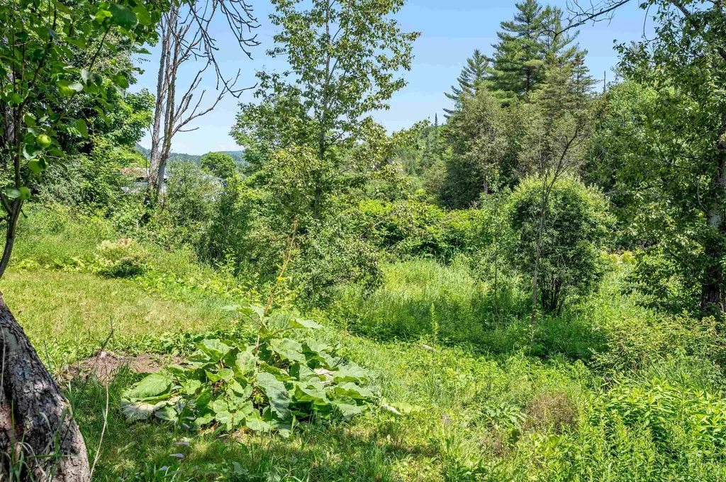 1706 Vt Route 215 South Cabot VT 05647