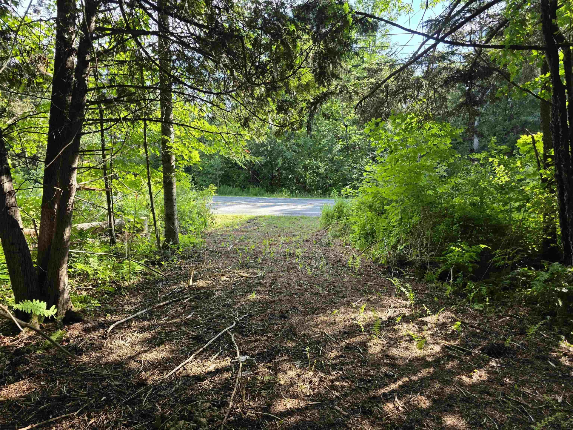 4964 Vermont Route 111 Morgan VT 05853