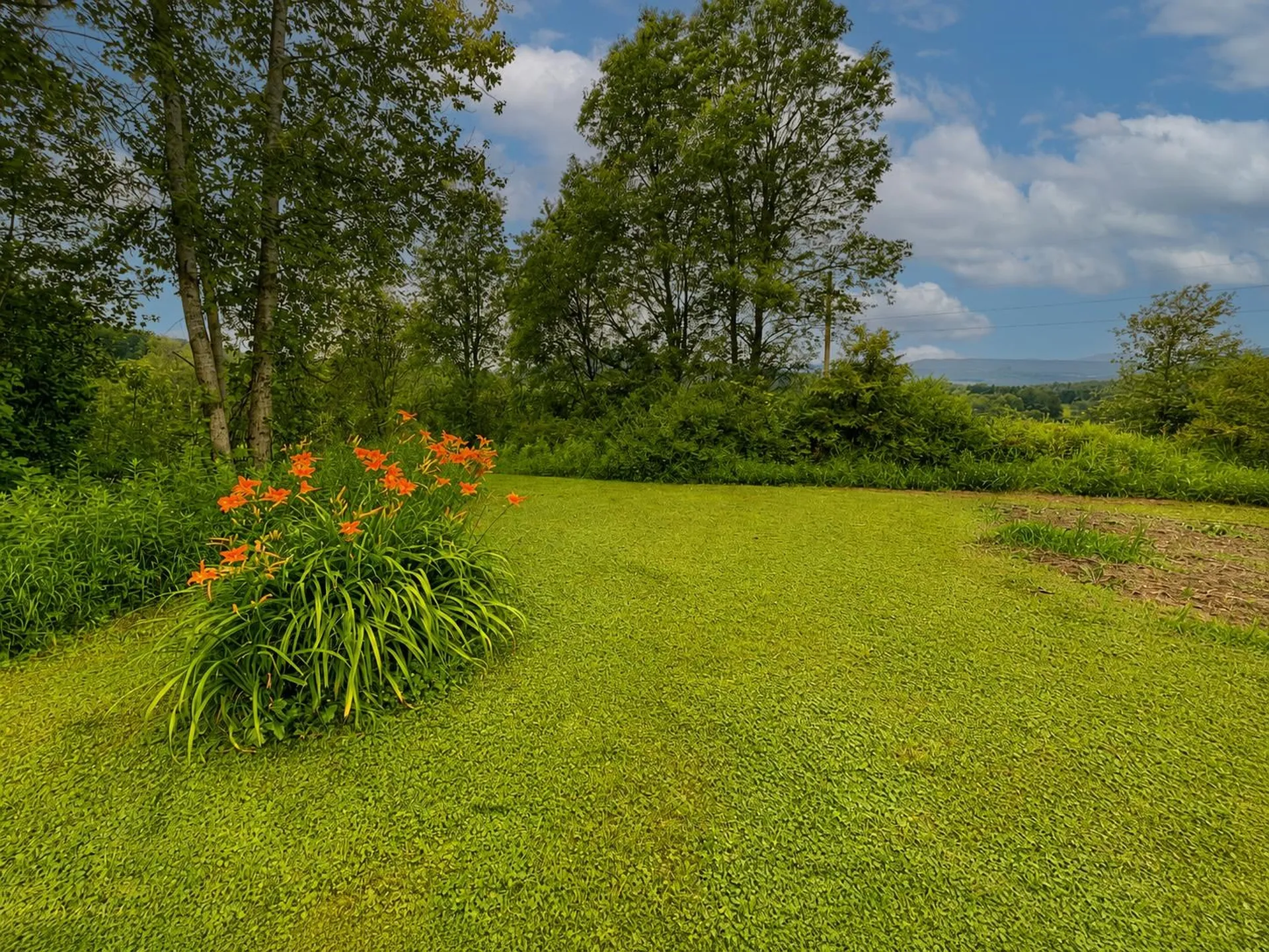 561 Sheldon Brook Road Lyndon VT 05851