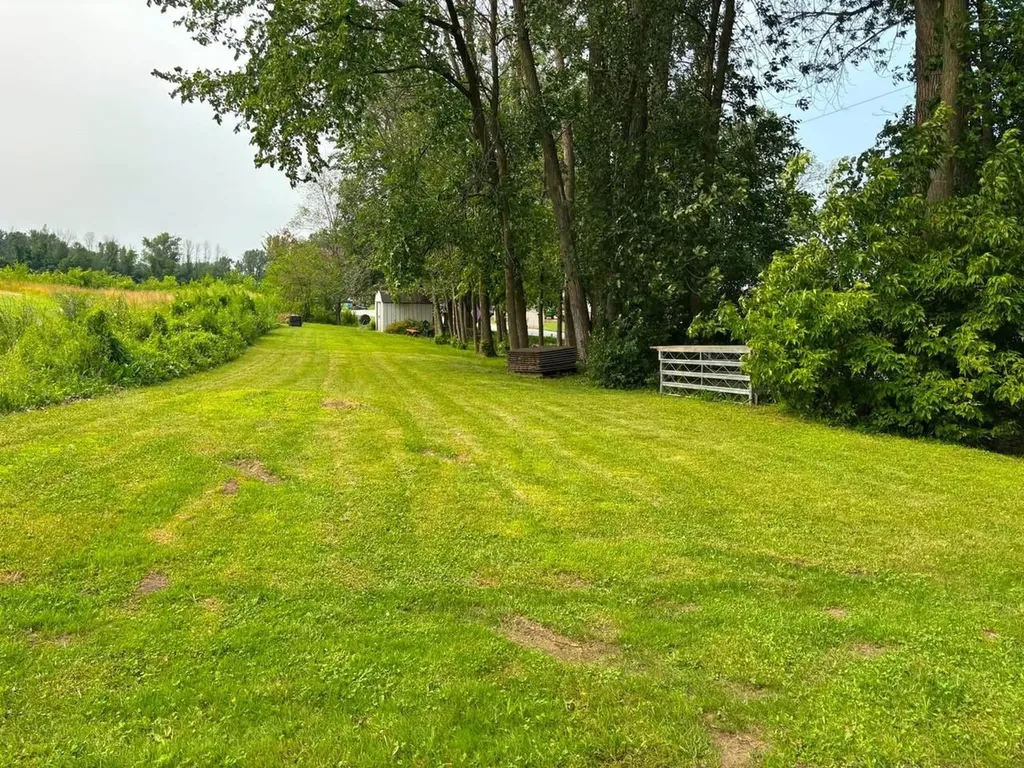 425 Bingham Shore Road St. Albans Town VT 05478