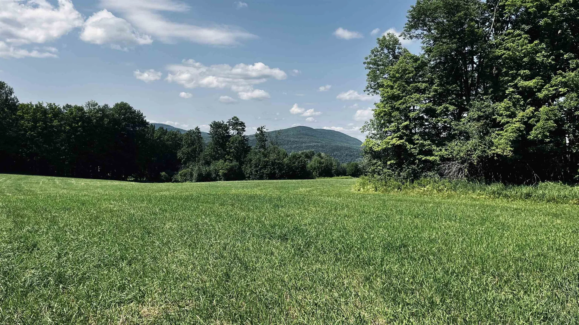 0 Vance Road E Albany VT 05820