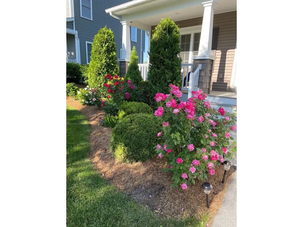 181 Sommerfield Avenue South Burlington VT 05403
