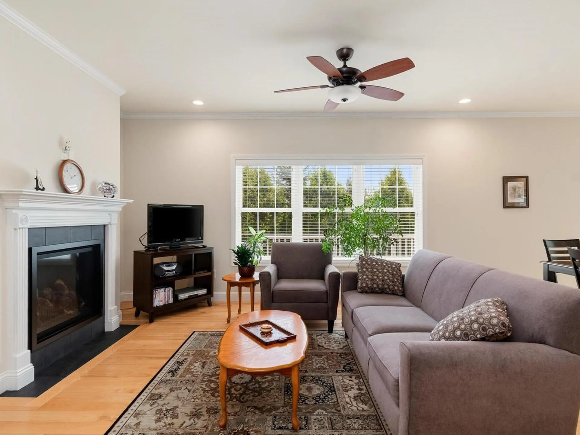 181 Sommerfield Avenue South Burlington VT 05403