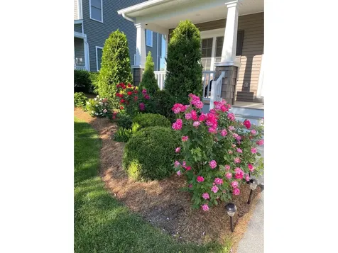 181 Sommerfield Avenue South Burlington VT 05403