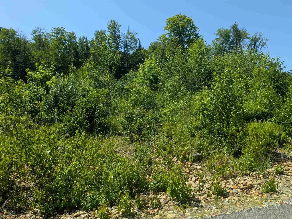 1 Boulder Point Drive Plymouth NH 03264-3174