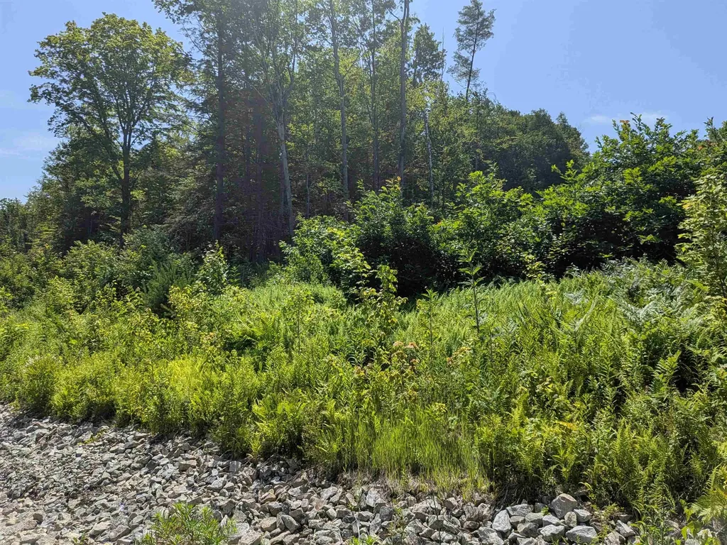 1 Boulder Point Drive Plymouth NH 03264-3174