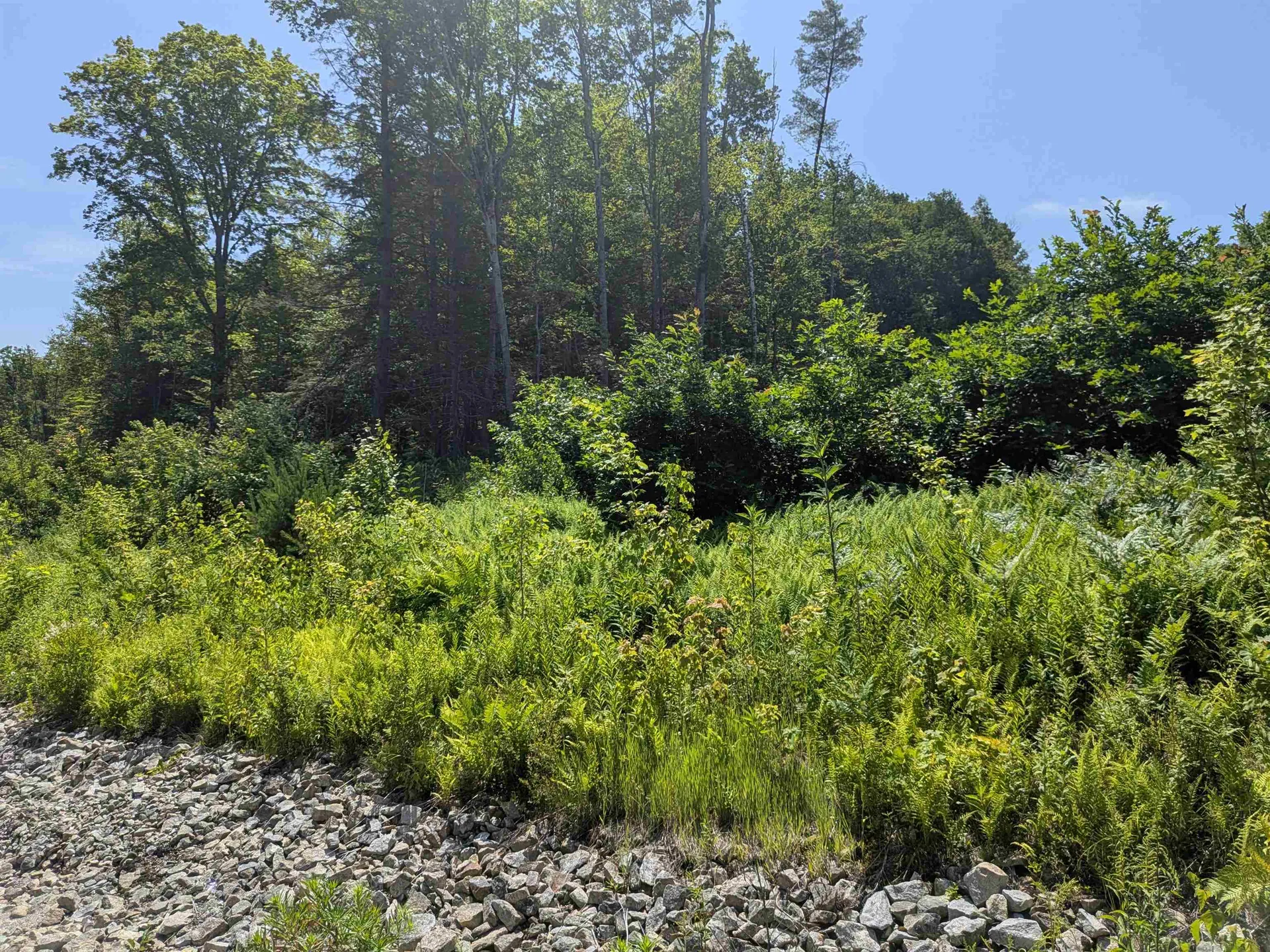 1 Boulder Point Drive Plymouth NH 03264-3174