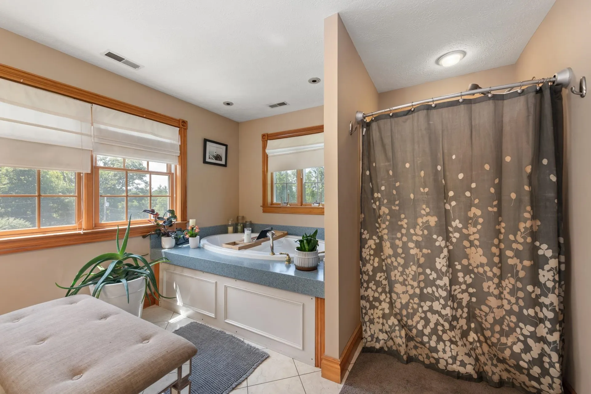 12 Pheasant Lane New Boston NH 03070