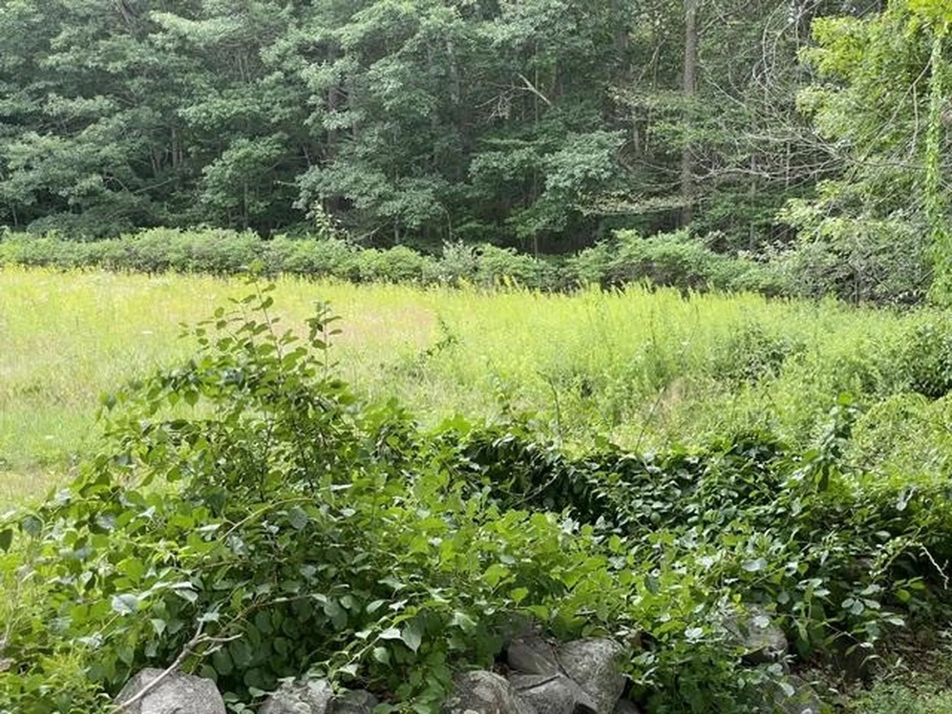 640 Washington Road Rye NH 03870