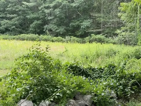 640 Washington Road Rye NH 03870