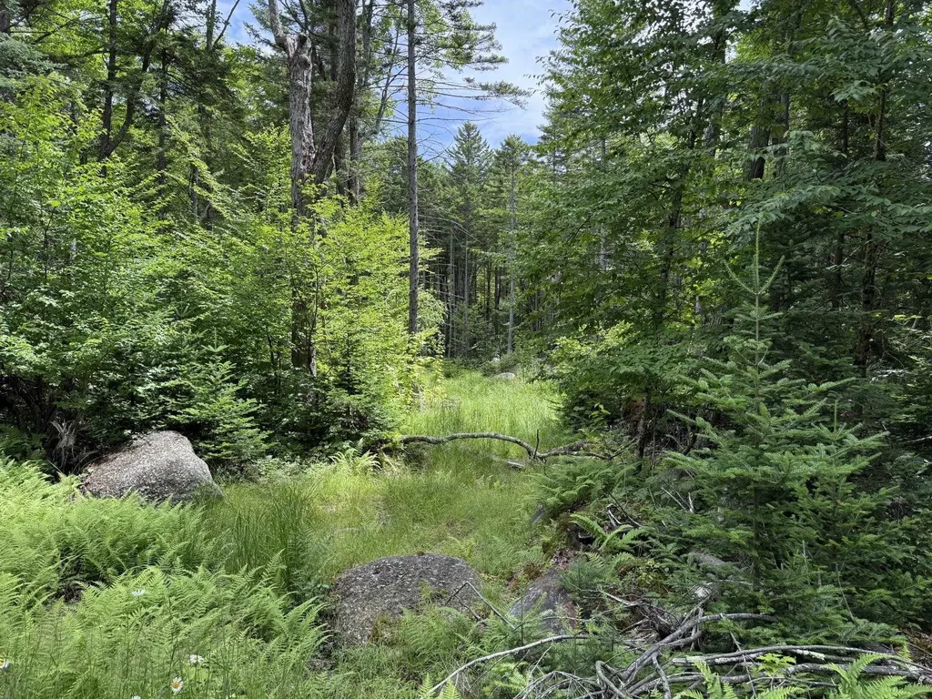 14-74 Grant Road Washington NH 03280