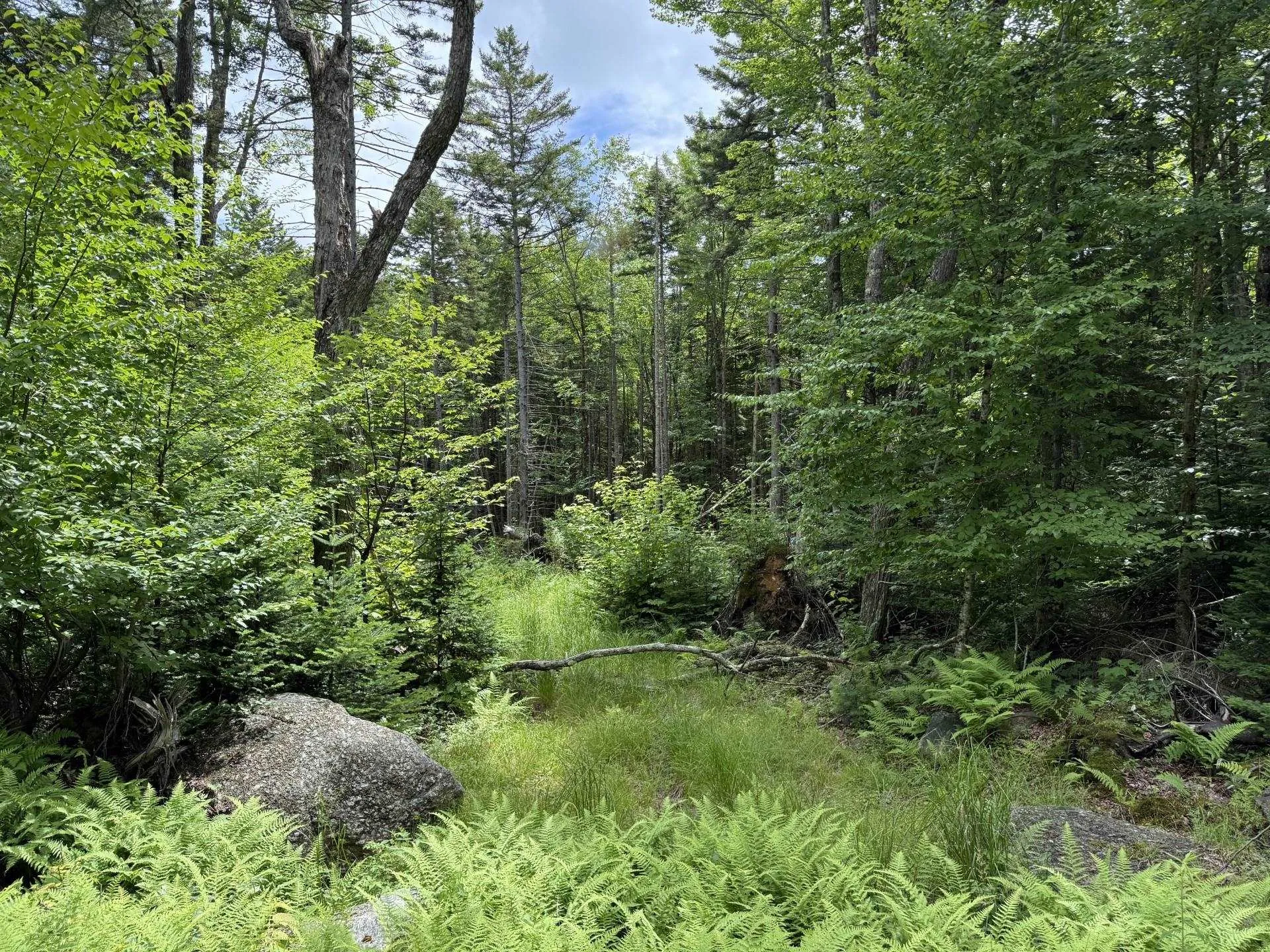 14-74 Grant Road Washington NH 03280