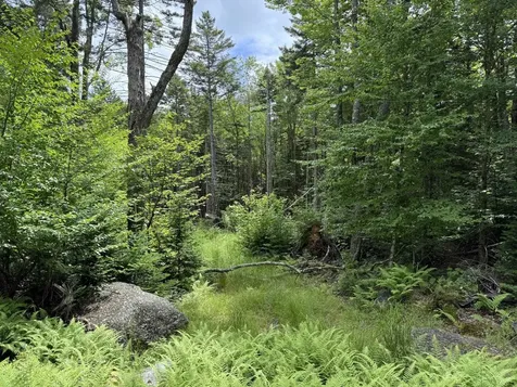 14-74 Grant Road Washington NH 03280