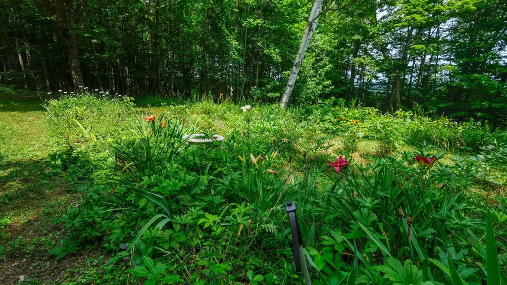 240 Ghia Farm Road Ludlow VT 05149