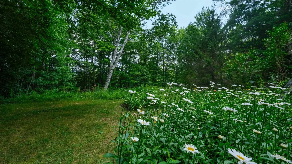 240 Ghia Farm Road Ludlow VT 05149