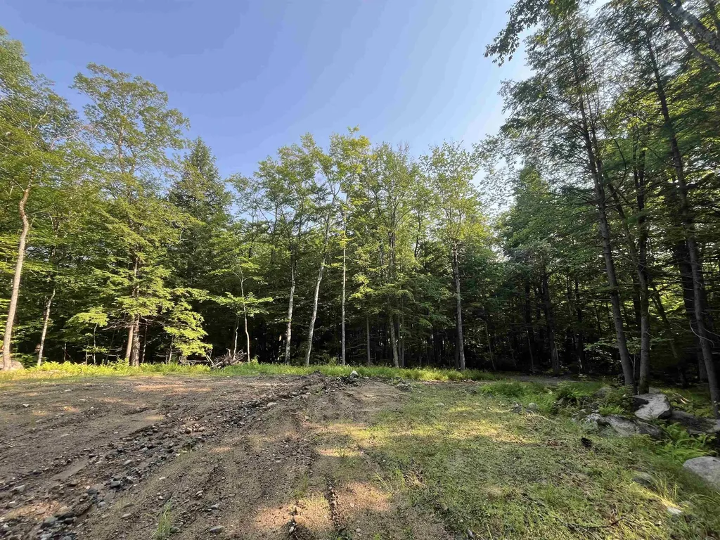 48 Adelboden Way Madison NH 03849