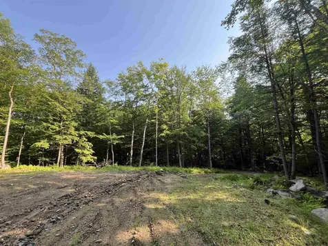 48 Adelboden Way Madison NH 03849