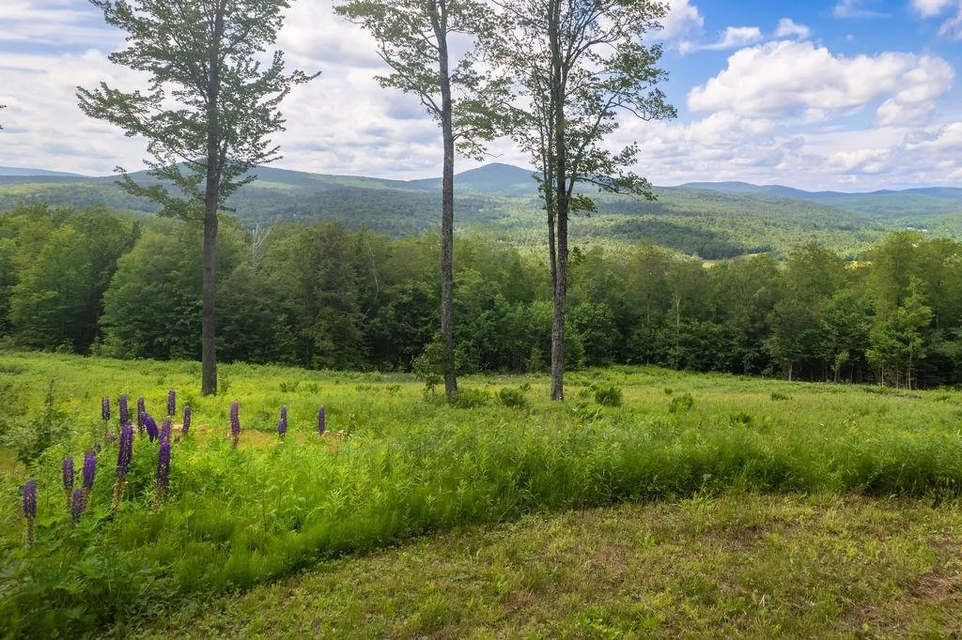 00 Markham Lane Weston VT 05161