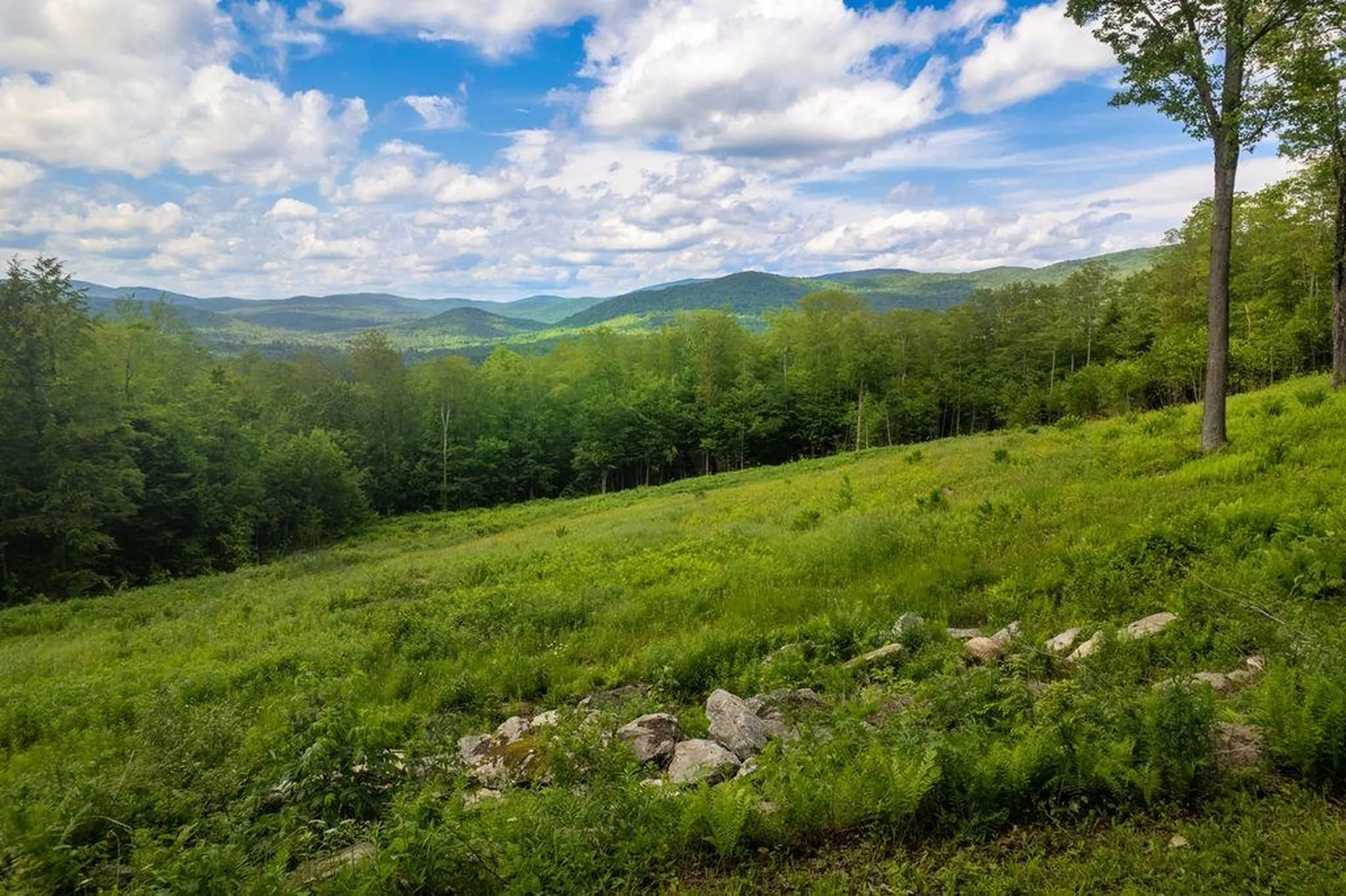 00 Markham Lane Weston VT 05161