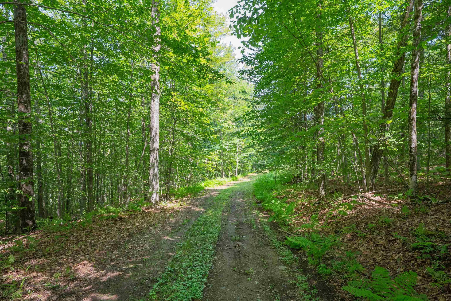 00 Markham Lane Weston VT 05161