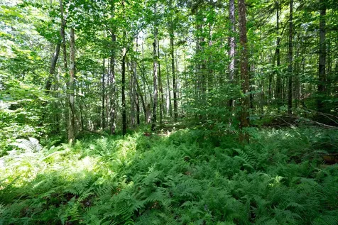 00 Markham Lane Weston VT 05161