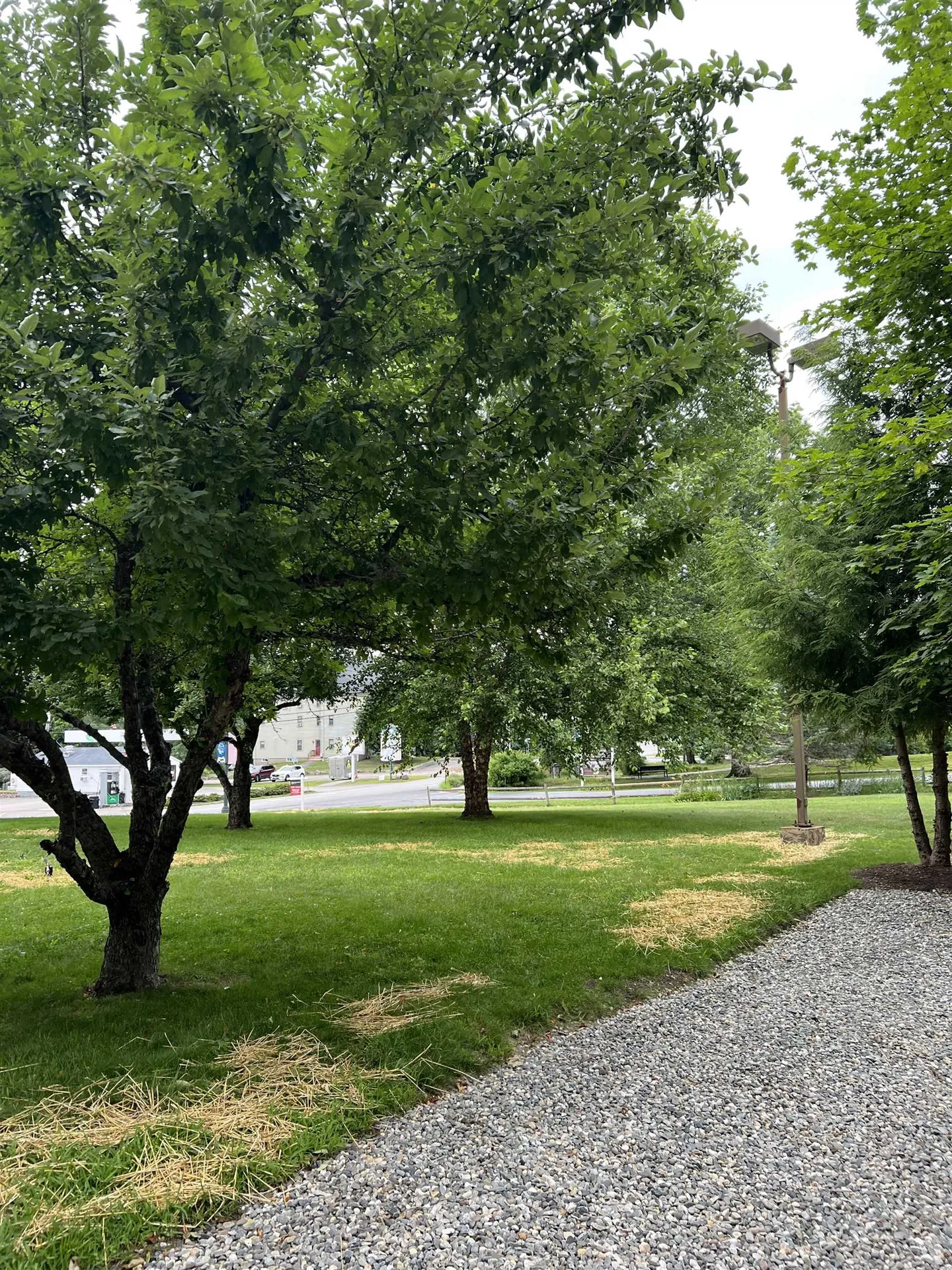 156 Portsmouth Avenue Stratham NH 03885