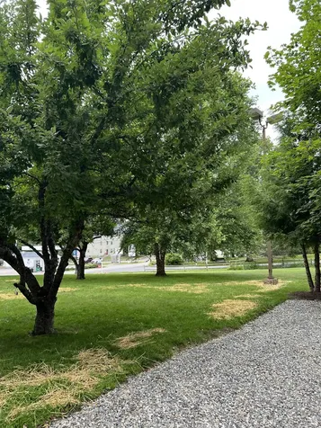 156 Portsmouth Avenue Stratham NH 03885