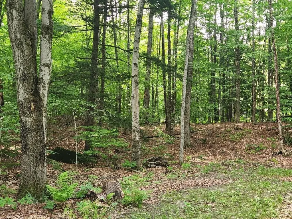 0 Beechwood Drive Cornish NH 03745