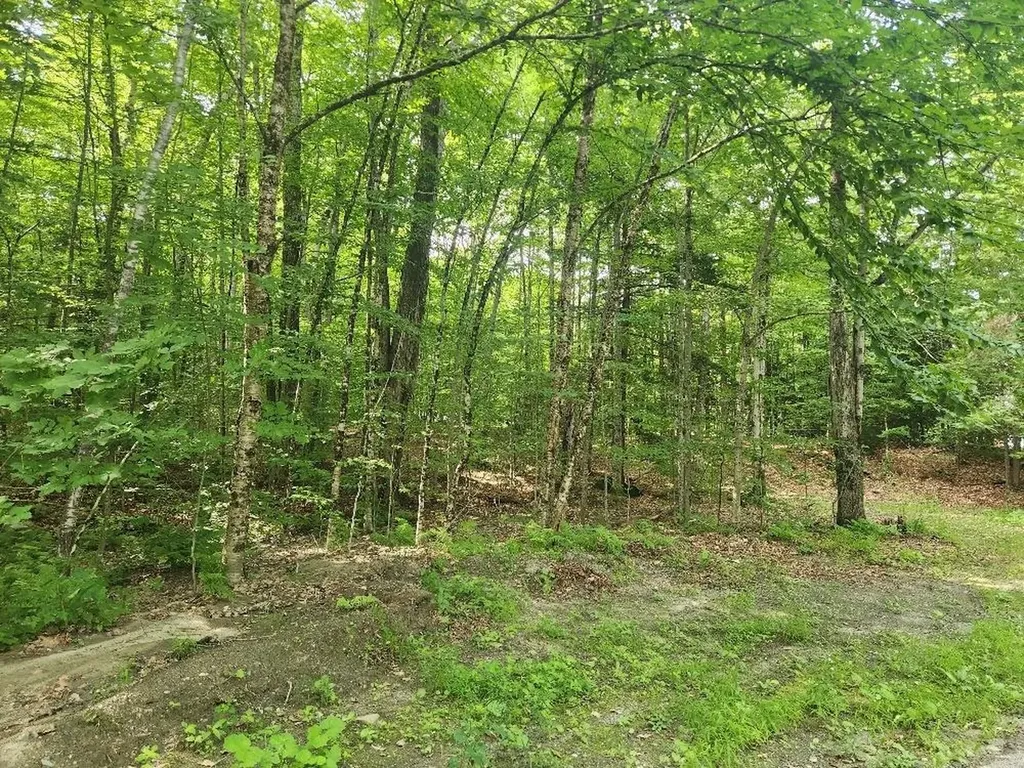 0 Beechwood Drive Cornish NH 03745