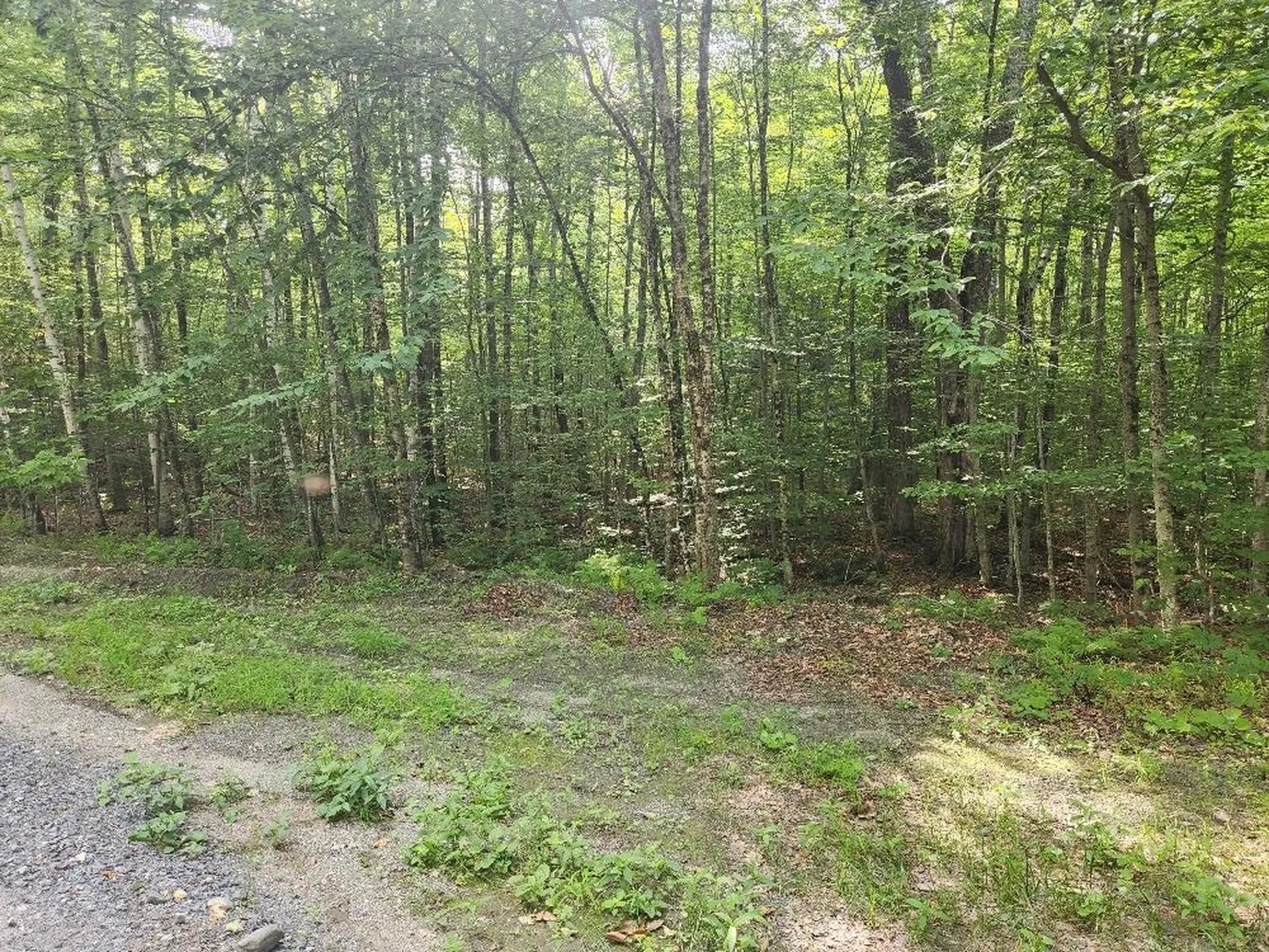 0 Beechwood Drive Cornish NH 03745