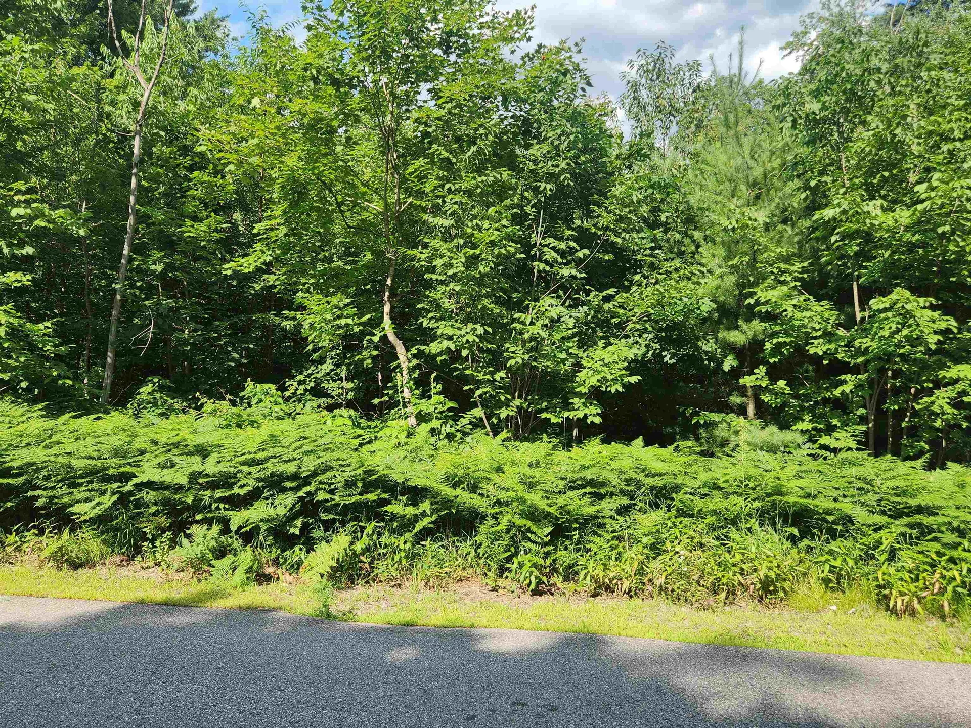 40A River Street Bartlett NH 03812
