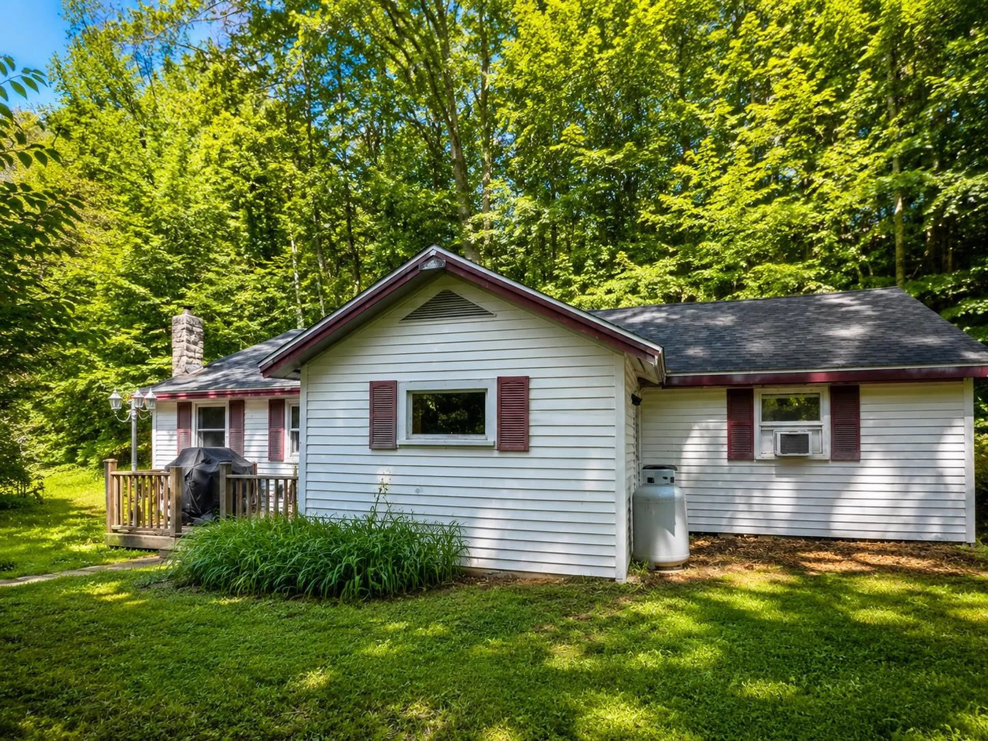 173 Beaver Meadow Road Vershire VT 05079