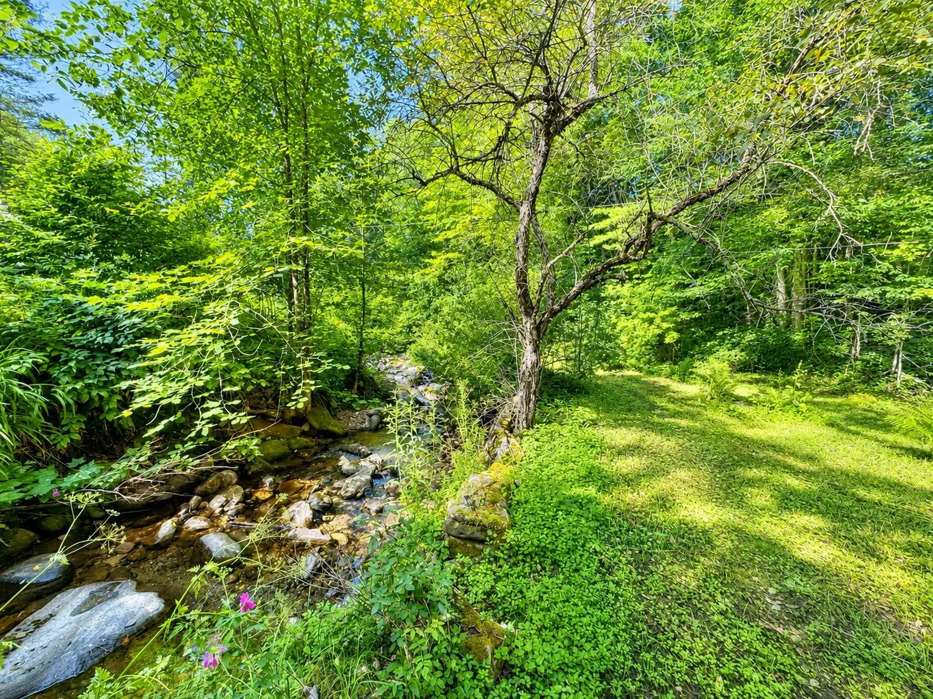 173 Beaver Meadow Road Vershire VT 05079