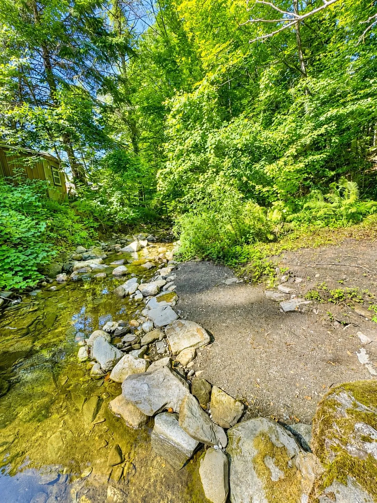 173 Beaver Meadow Road Vershire VT 05079