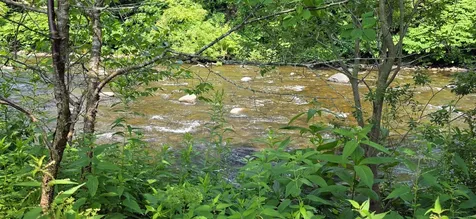 969 Vt 105 Route Charleston VT 05872