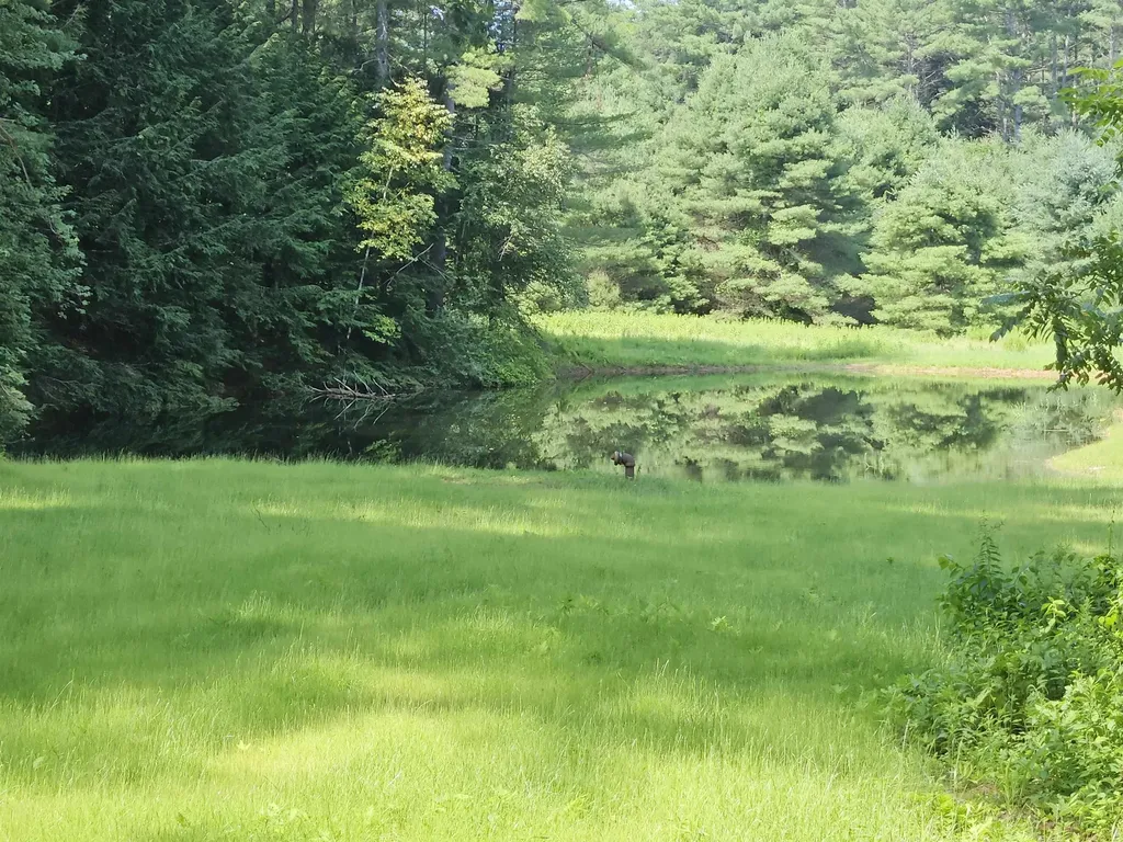 14 Bellmore Drive Orford NH 03777
