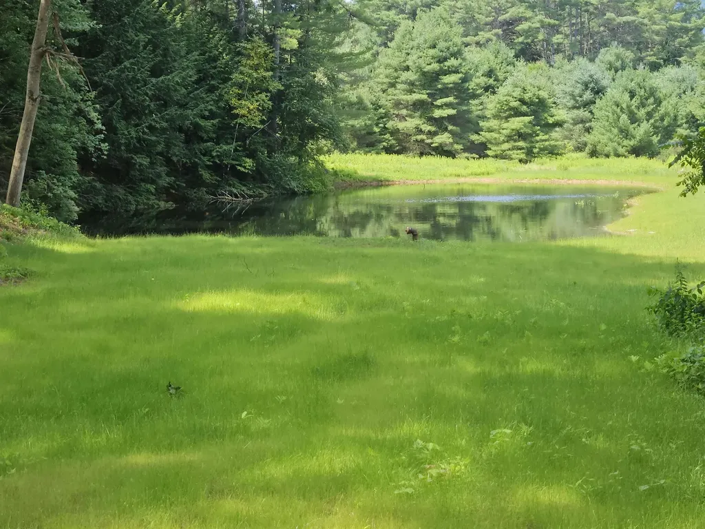 14 Bellmore Drive Orford NH 03777