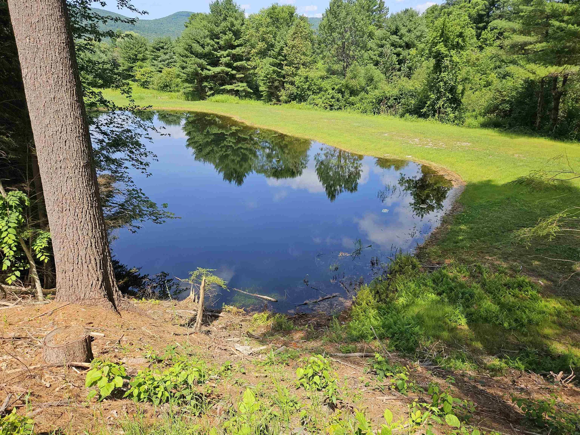 14 Bellmore Drive Orford NH 03777