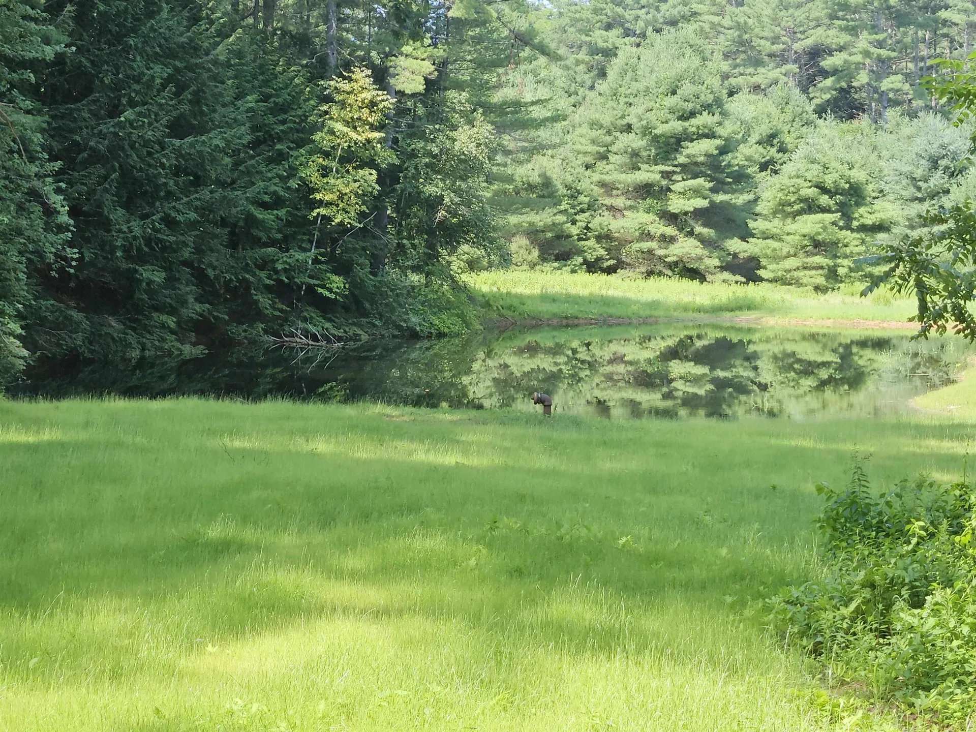 14 Bellmore Drive Orford NH 03777