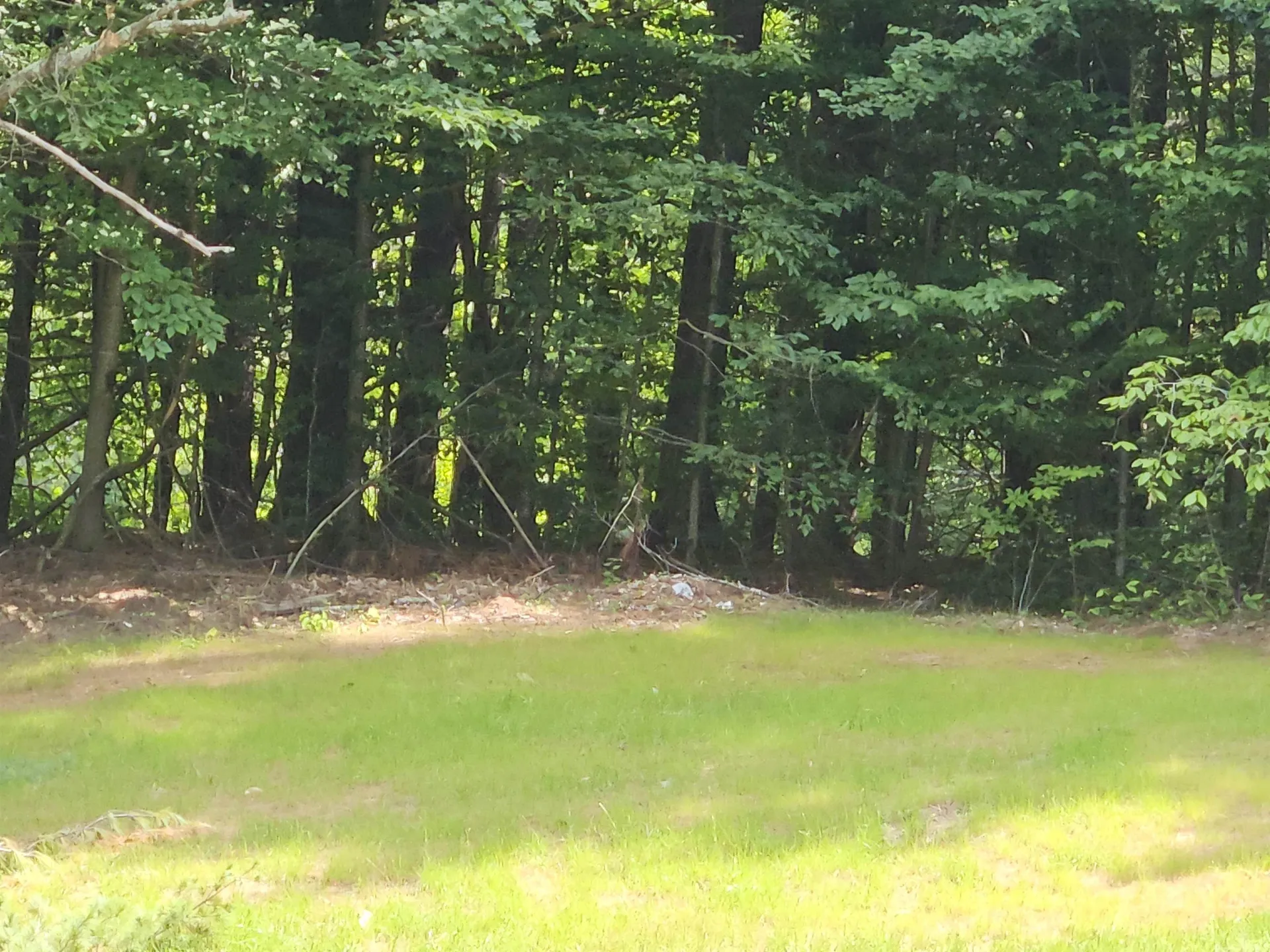 14 Bellmore Drive Orford NH 03777