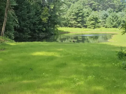 14 Bellmore Drive Orford NH 03777