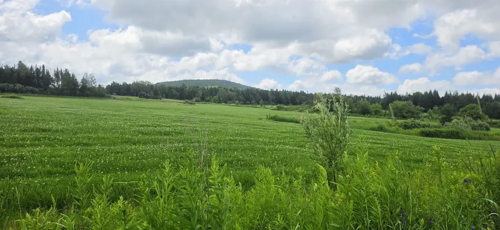 1888 Trucott Road Holland VT 05830