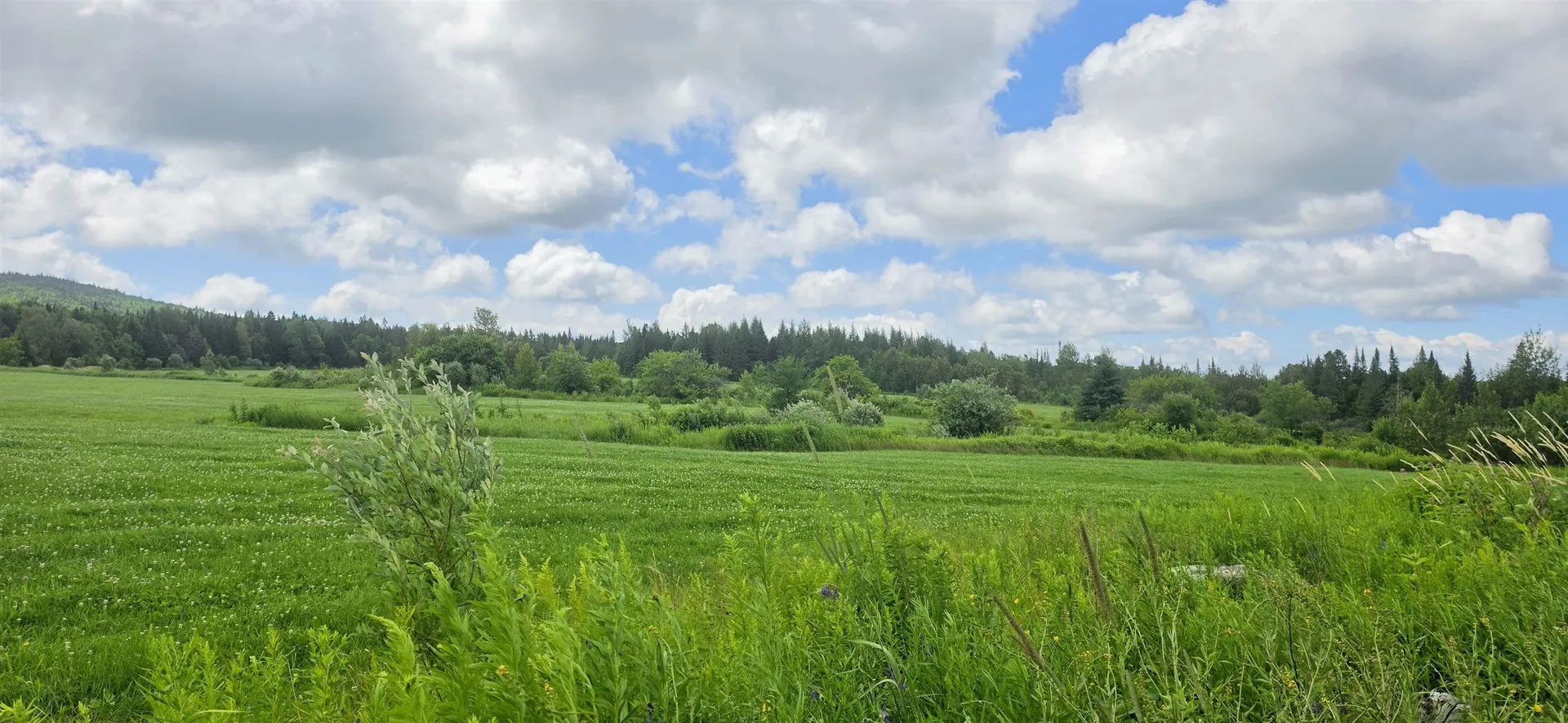 1888 Trucott Road Holland VT 05830