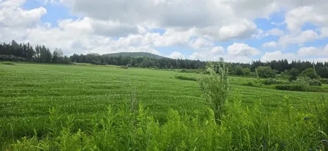 1888 Trucott Road Holland VT 05830
