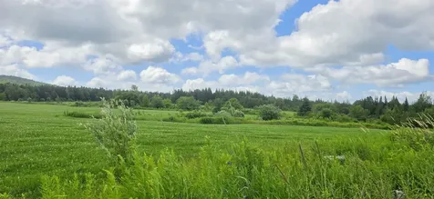 1888 Trucott Road Holland VT 05830