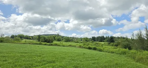 1888 Trucott Road Holland VT 05830