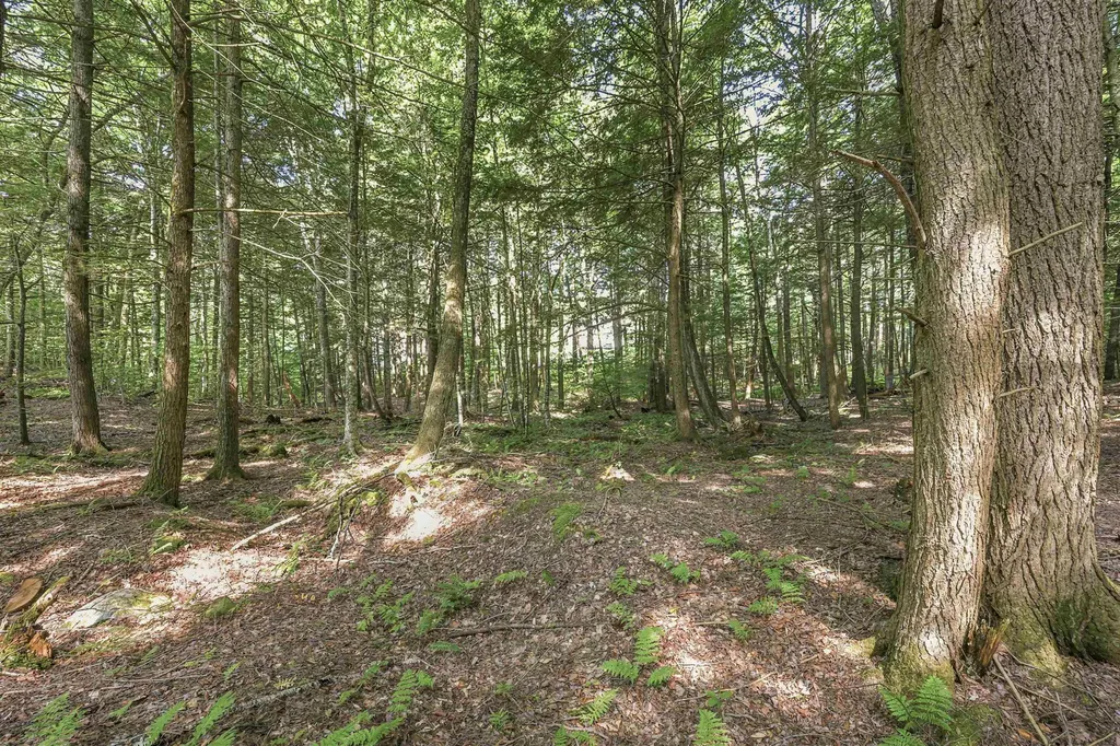 500 Victoria Drive Rutland Town VT 05701