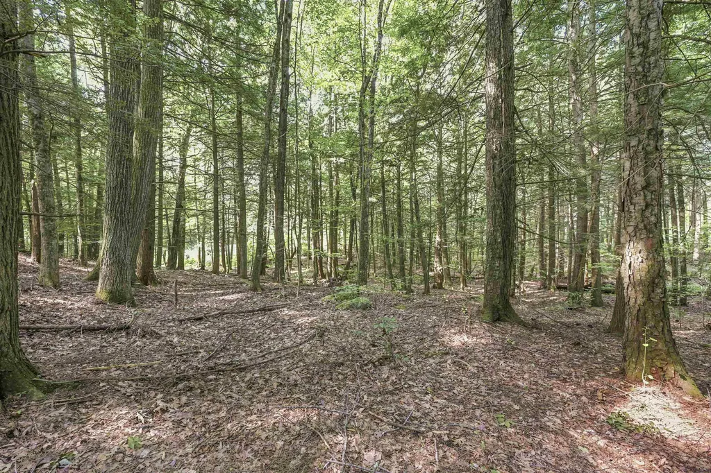 500 Victoria Drive Rutland Town VT 05701