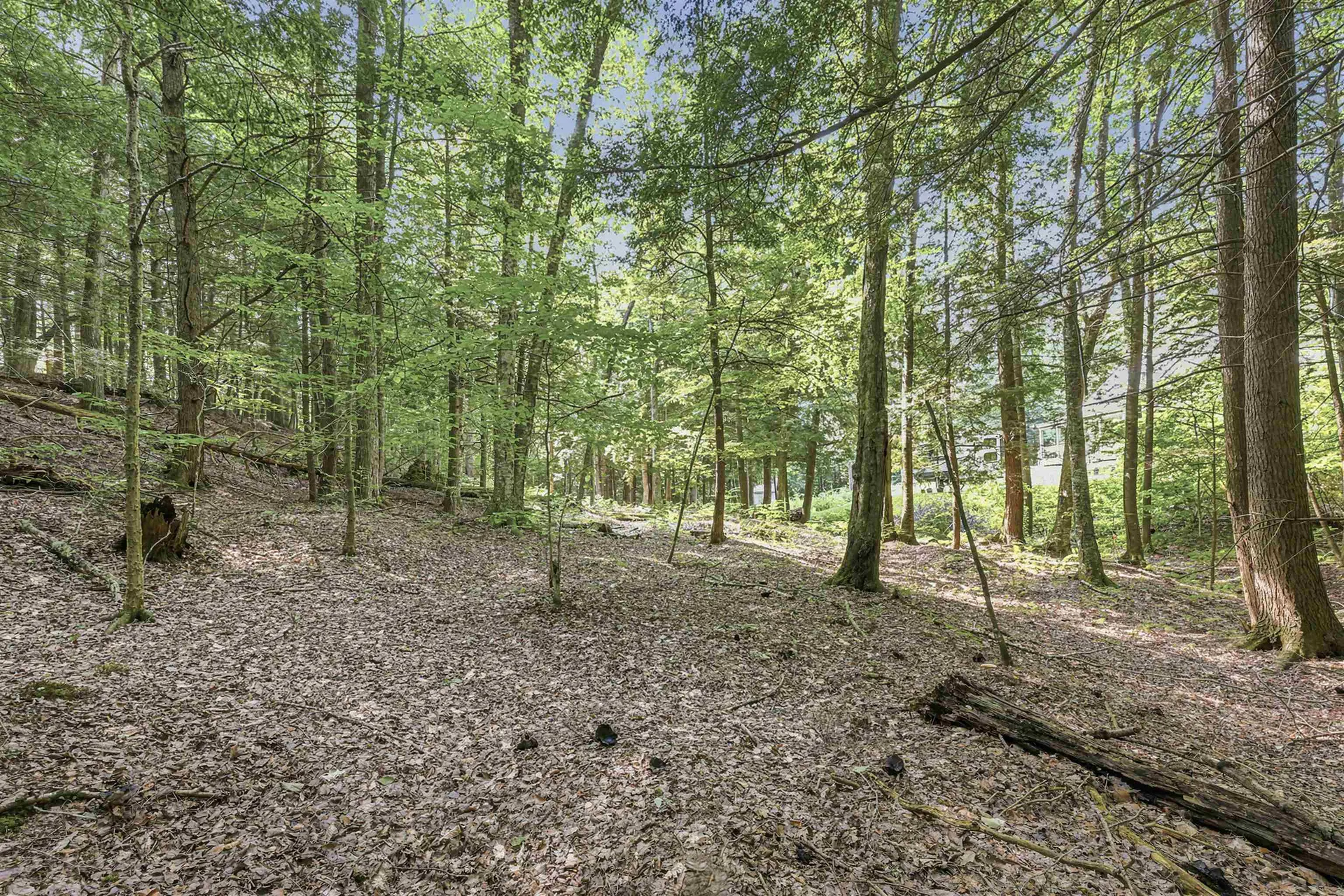 500 Victoria Drive Rutland Town VT 05701