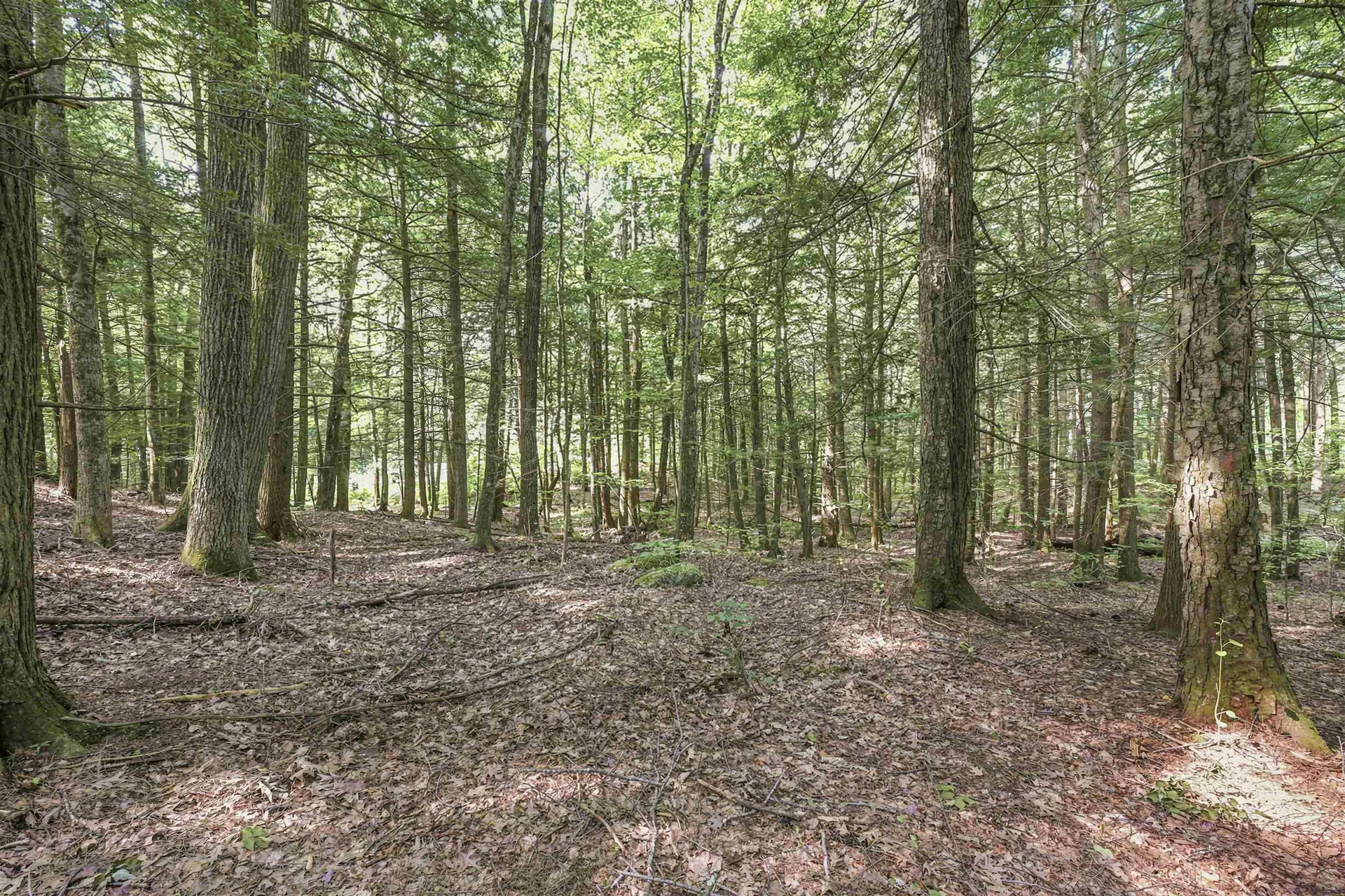 500 Victoria Drive Rutland Town VT 05701